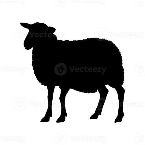 Sheep Silhouette Isolated 24483638 Png