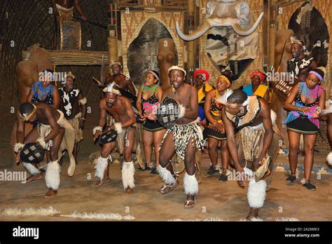 Zulu Troupe Perform In Traditional Dress At The Shakaland Zulu Cultural