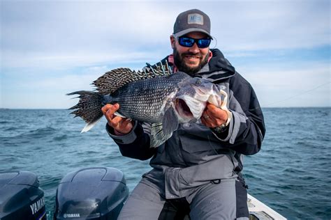 Cape Cod Fishing Report May On The Water