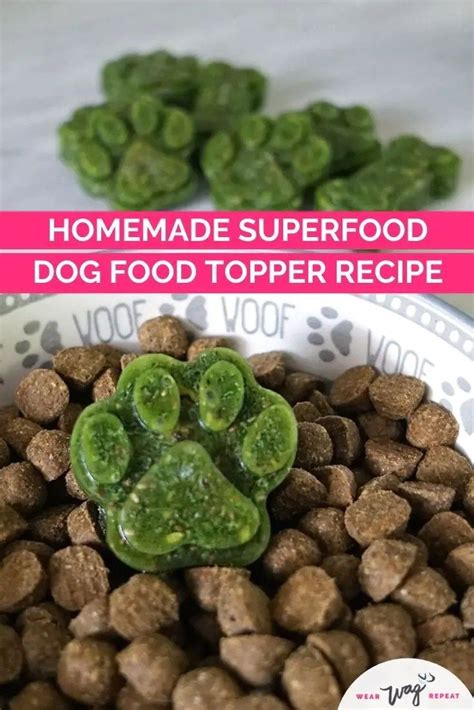 Homemade Superfood Dog Food Topper Recipe In A Bowl With Green Puppy