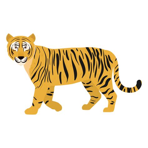 Tiger Illustration Cat Transparent Png And Svg Vector File