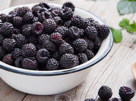 Getting black currants banned and creating quarantines (following the plant quarantine act of 1912), helped manage the disease in the past. Black Raspberry vs. Blackberry: What's the Difference?