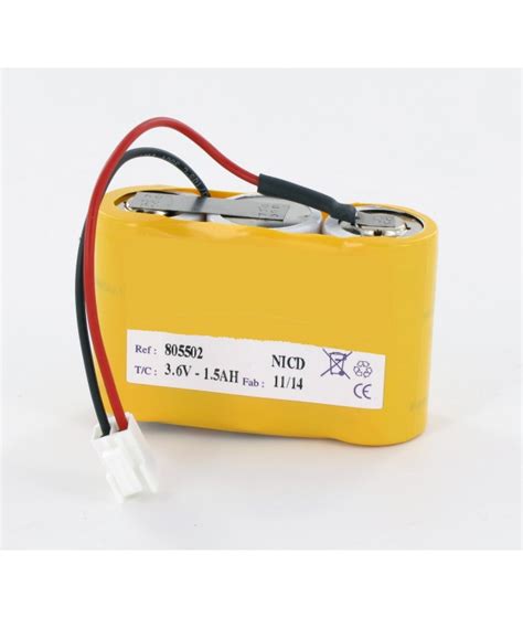 Batterie 36v Baes Cooper Ecosafe 805502 Saft