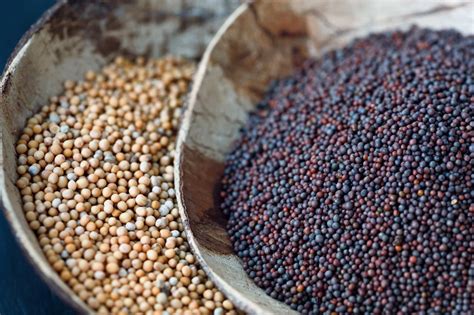 Seven Flavorful Mustard Seed Uses