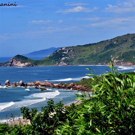Praia Mole Florianópolis Ce Quil Faut Savoir Pour Votre Visite 2022