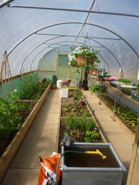 Over 20 vegetable garden layout ideas. 17 Best images about Polytunnel on Pinterest | Staging ...