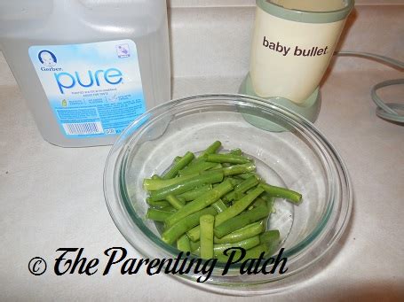 What a great way to introduce your precious little human to the nutritious joys of green bean. Baby Food Recipes: Green Beans | Parenting Patch