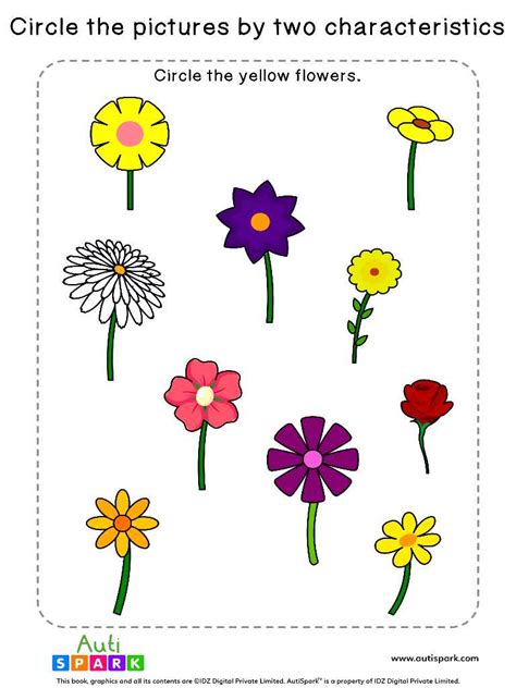 Circle Pictures By Characteristics Worksheet 05 Free Sorting Autispark