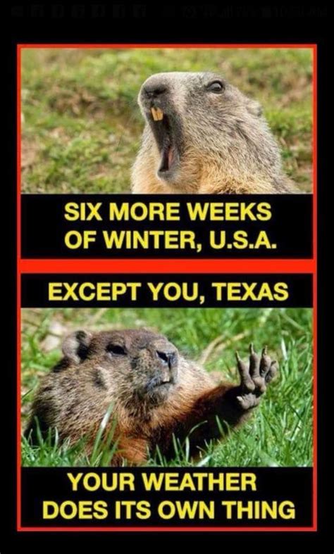 Texas Weather Humor Jokes About Texas That Are Actually Funny