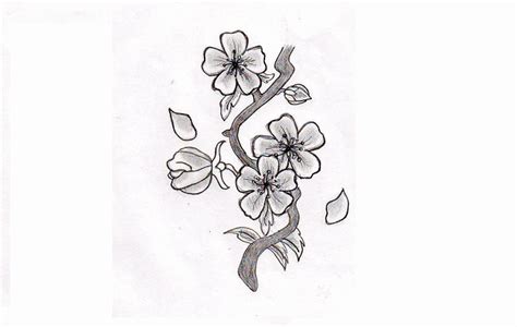 15 Contoh Sketsa Bunga Yang Indah Dan Simple Broonet