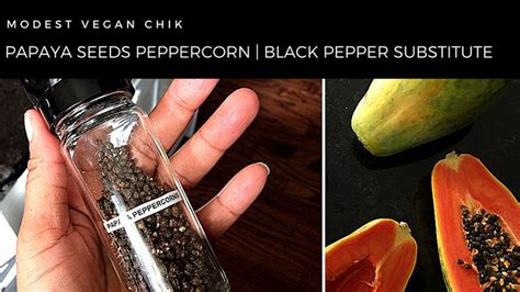 Papaya Seeds Peppercorn Diy Black Pepper Substitute Papaya Seeds