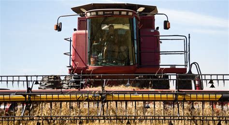 Oklahoma Farm Report 2020 Global Wheat Harvest Update