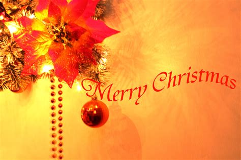 Merry Christmas Background Free Stock Photo Public Domain Pictures