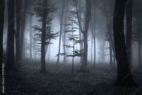Creepy Forest Silhouette