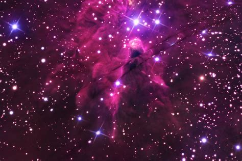 Fox Fur Nebula Large Up To 3 Yds Fabric Jaana