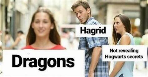 Memes to Celebrate Harry Potter and J.K. Rowling's Birthday
