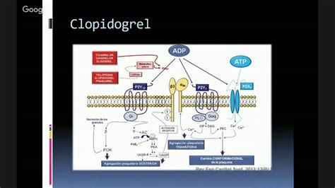 Clopidogrel E Aas Juntos