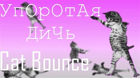 cat bounce УпОрОтАя ДиЧь youtube