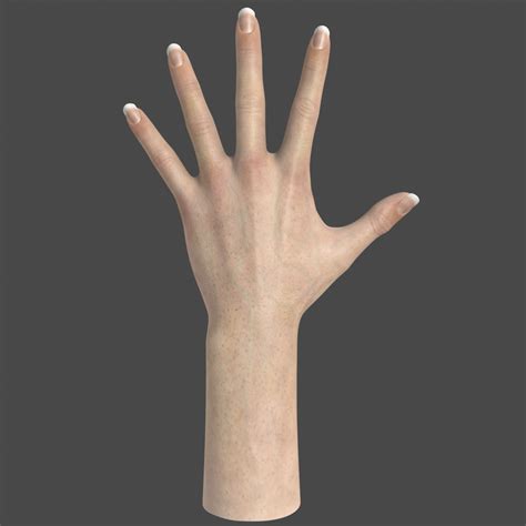 Realistic Female Hand 3d Max