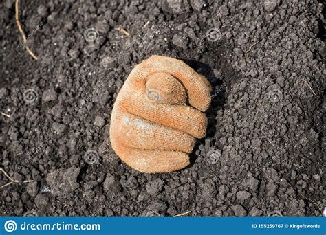 Fico In The Glove Grows From The Earth. Fig Fico Hand Sign Stock Image - Image of grows, obscene 