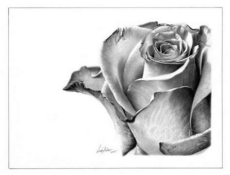 Pencil drawing is an ability which comes naturally to a person and it takes a lot of time and talent to complete a pencil drawing. Amazing Pencil Sketches - XciteFun.net