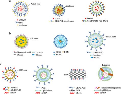 Schematic Representation Of The Different Types Of Nanocarriers For Download Scientific Diagram