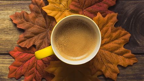 Pictures Foliage Autumn Coffee Cup Food Boards 2560x1440