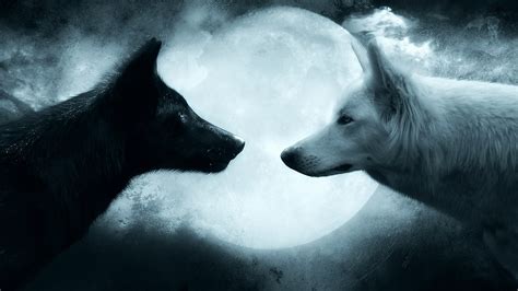 Moon Between Black And White Wolves Hd Wallpaper Wallpaper Flare