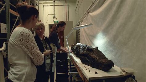Conservation Of A Crocodile Mummy Ancient Egypt Ancient