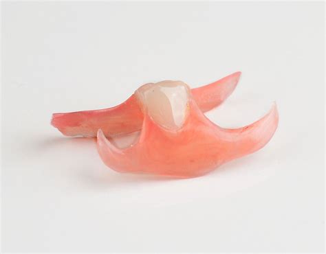 Order Nesbit Flexible Partial Denture Dental Lab Direct
