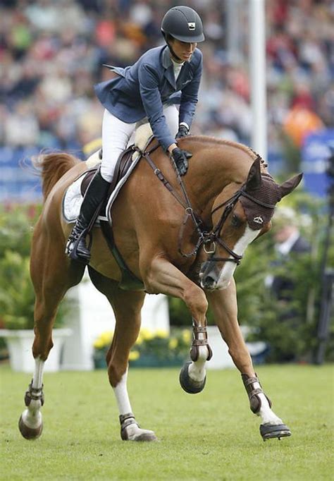 10+ images about Eventing on Pinterest | Grand prix, Equestrian and Jumpers
