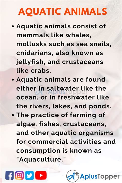 10 Lines On Aquatic Animals For Students And Children In English A