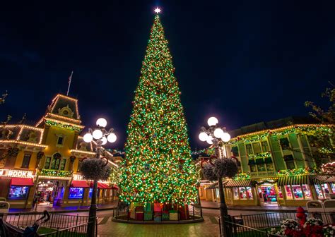 Christmas Tree In California
