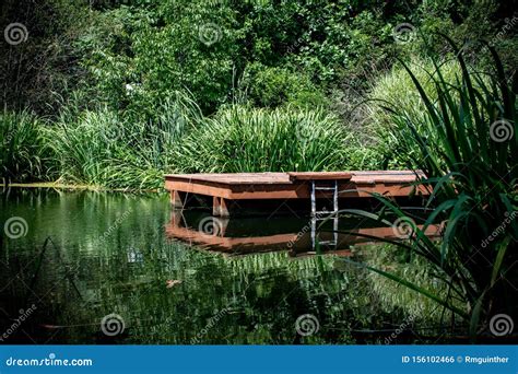 A Red Dock In A Pond With A Ladder Surrounded By Lush Greenery Stock