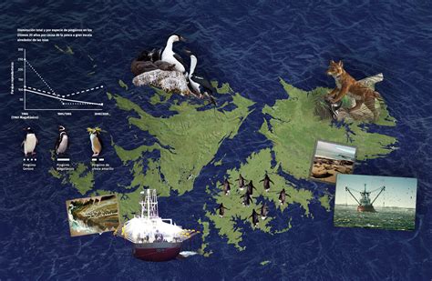 Biogeografía De Las Islas Geografía Museo Malvinas Unla