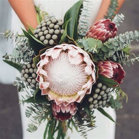 Such A Stunning Bouquet Featuring This Beautiful King Protea 📷