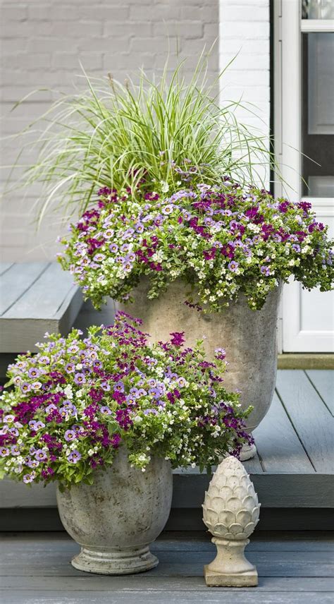 97 Best Container Garden Recipes Images On Pinterest