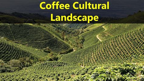 Best Tourist Attractions Places To Travel In Colombia Coffee Cultural