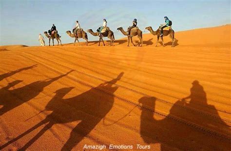 #10 of 190 outdoor activities in merzouga. Merzouga Emotions - Sahara Desert Tours - Morocco Desert ...