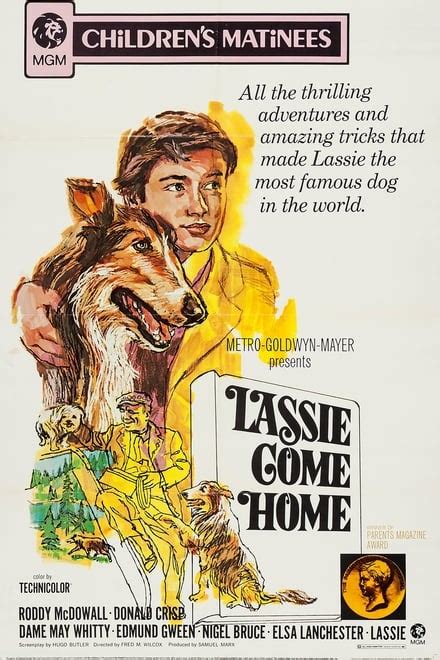 Lassie Come Home 1943 Posters — The Movie Database Tmdb