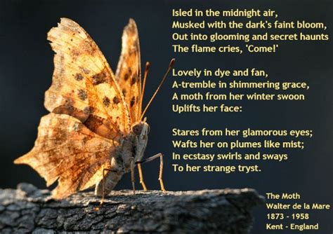 Poetry The Moth Walter De La Mare Shakespeare Midsummer Nights