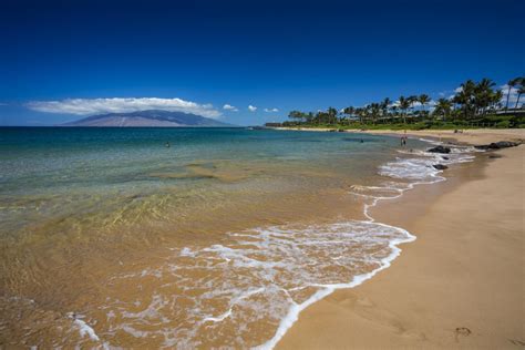 Maui Must Dos Go Hawaii