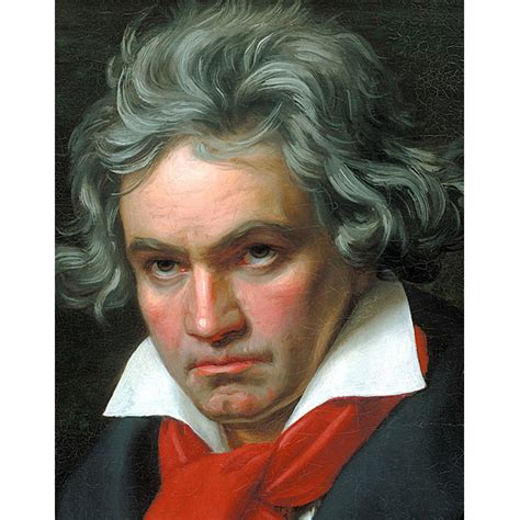 Beethoven was the child of a flamian musician family and became a member of the electoral orchestra of bonn in 1783. Bonn festeggia Beethoven, compositore di musica ...