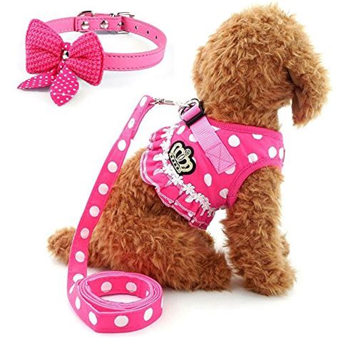 Cute Small Dog Harness Ladies Polka Dots Dog Vest Harness Set With