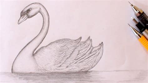 How To Draw A Beautiful Swan From Number 22 Very Easy Swan Drawing