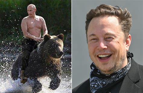 Elon Musk Says Vladimir Putin Can Bring His Bear To Their Fight For