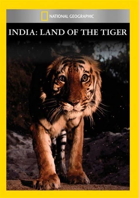 India Land Of The Tiger Dvd Best Buy