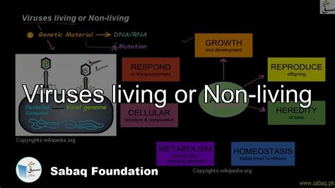 Viruses Living Or Non Living Biology Lecture Sabaqpk Youtube