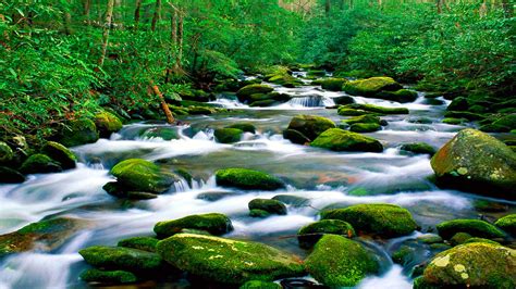 Beautiful Untouched Nature Pristine Mountain River Riverbed Rock With