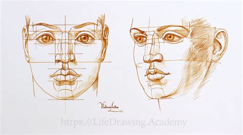 How To Draw A Realistic Face Life Drawing Academy